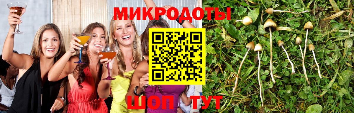 Балашов  Галлюциногенные грибы прущие грибы  Вход с VPN 